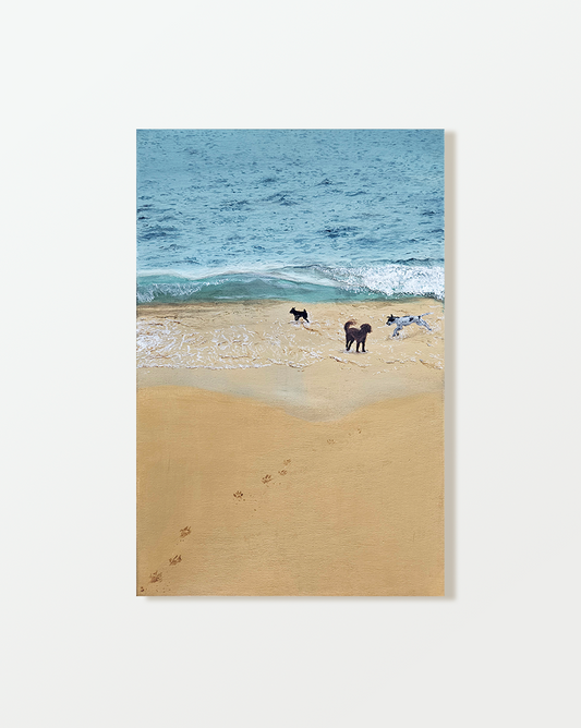 Beach dog converts